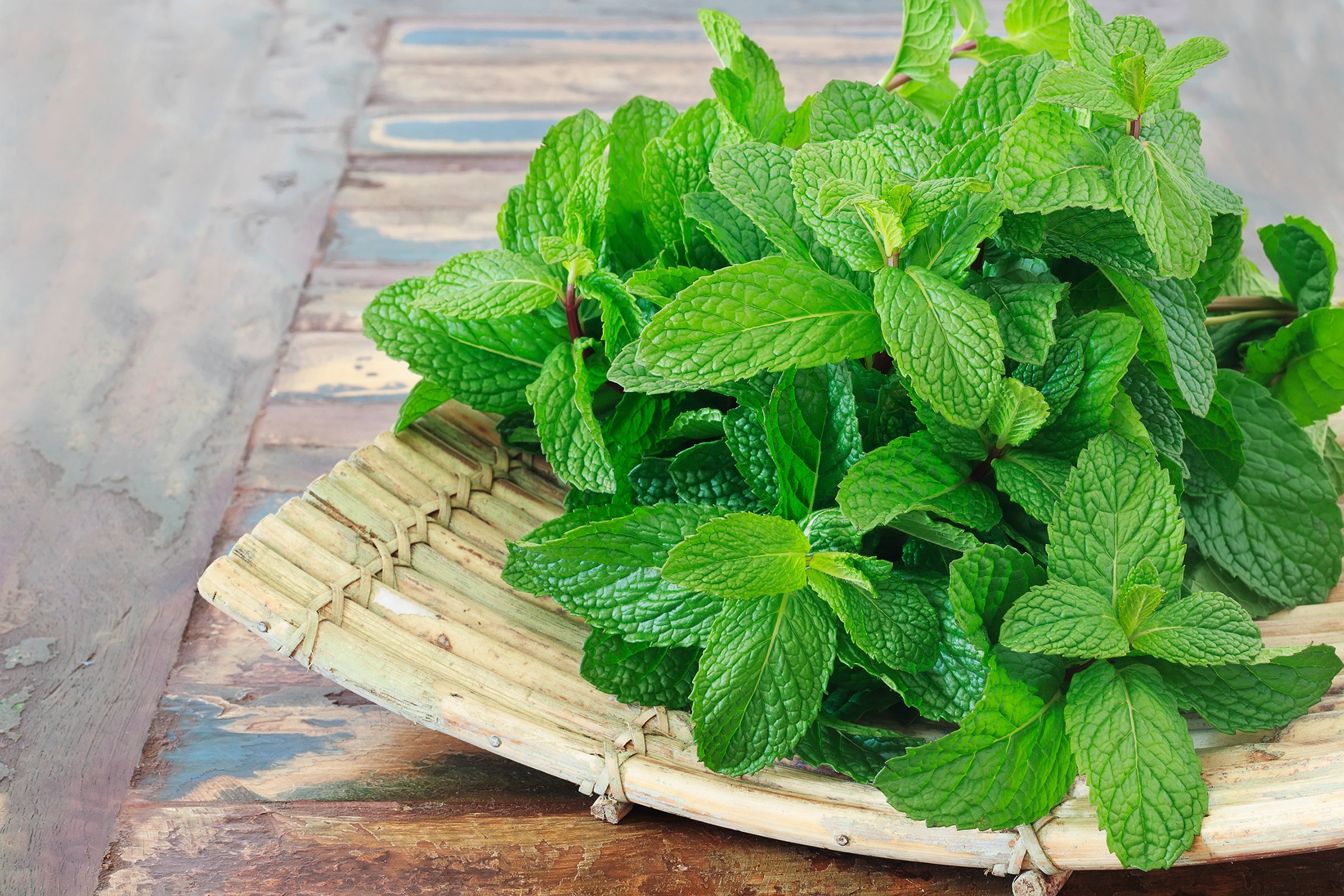A bunch of fresh mint on a wooden tray
