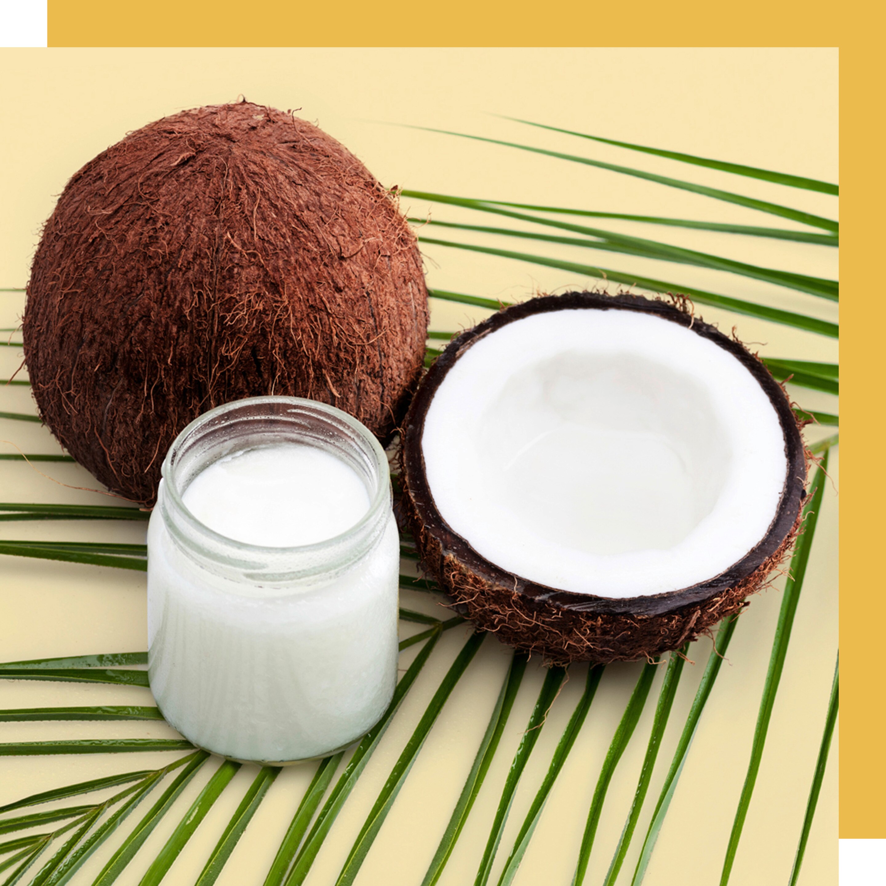 Coco con envase de aceite de coco