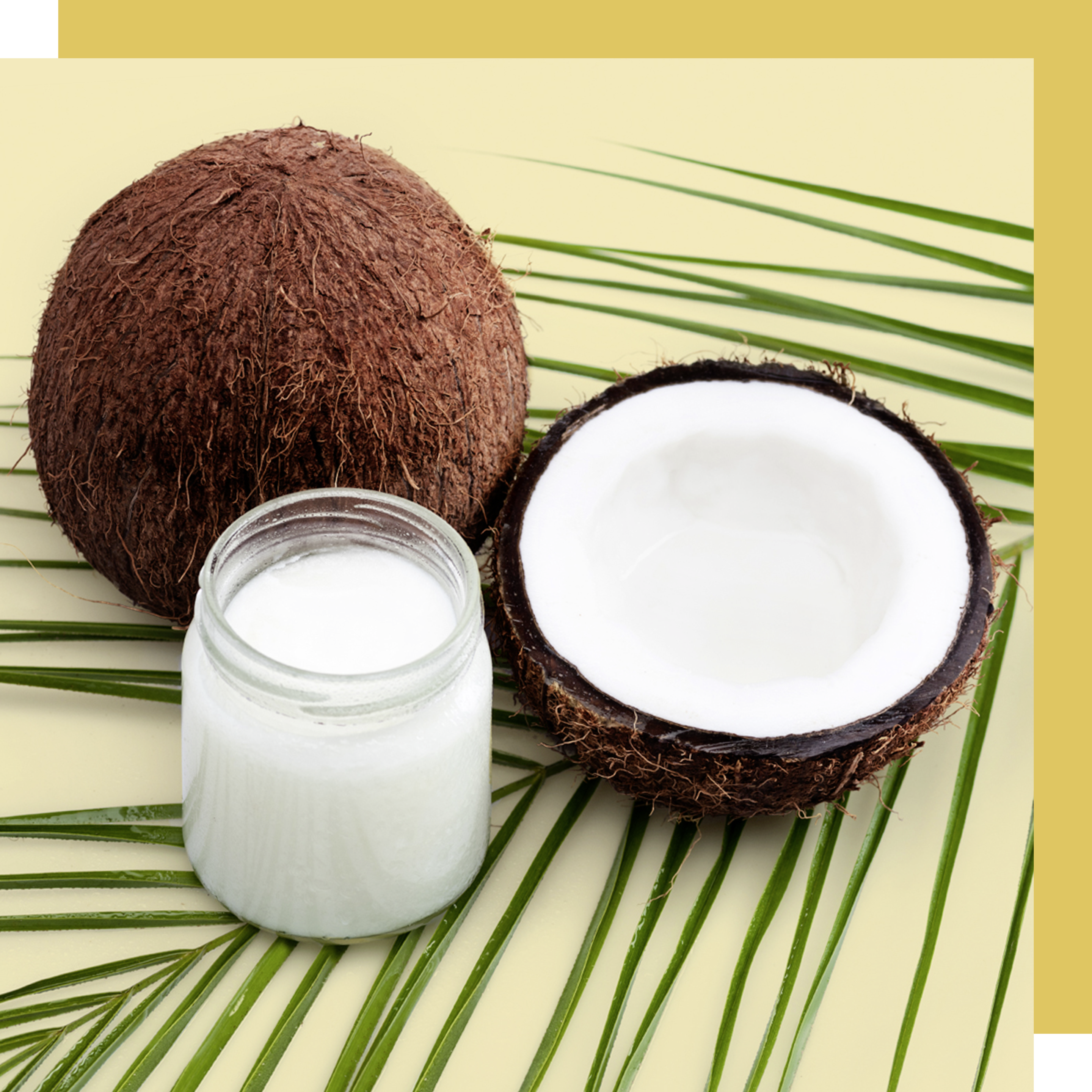 Coconut OilCoco e um copo com óleo de coco, , utilizados para a produção do shampoo ylang ylang e outros produtos Love Beauty and Planet Text