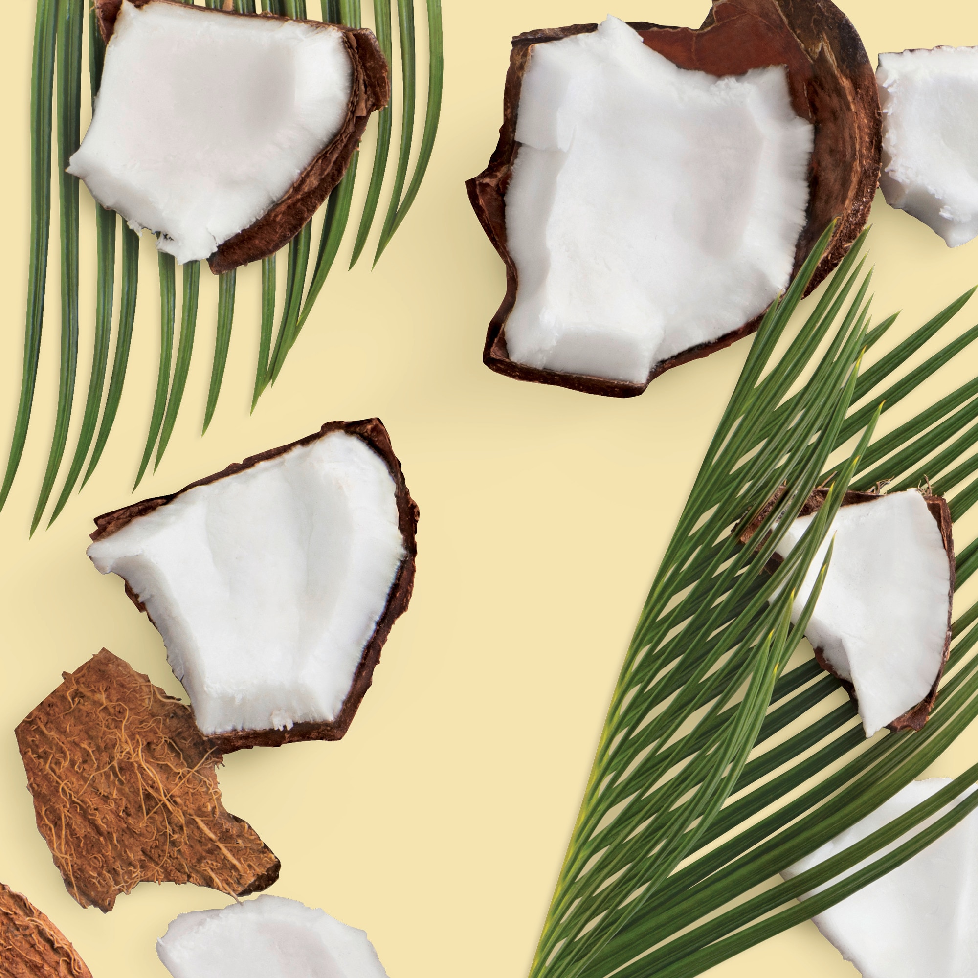 Kokosolie Image Text