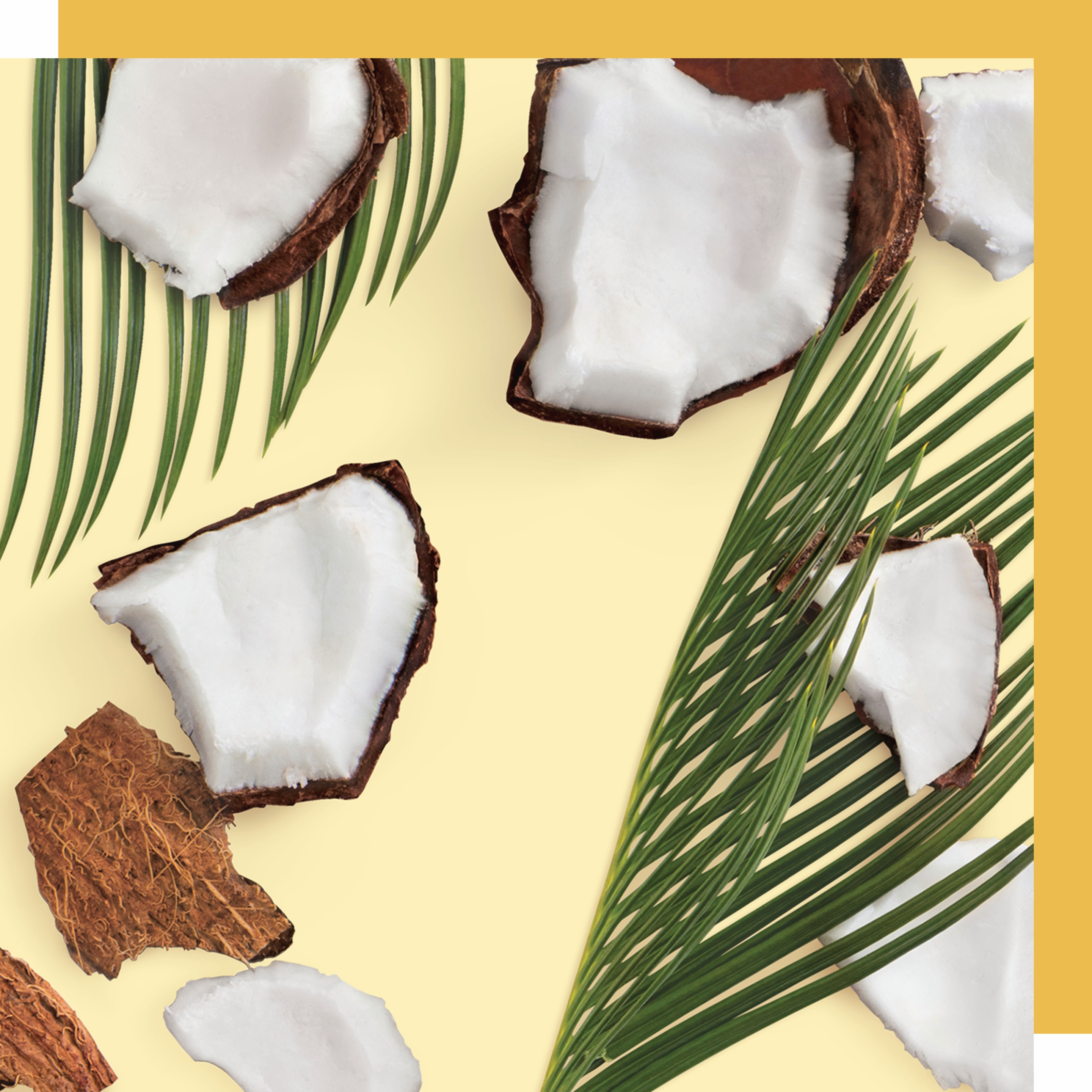 pedaços e folhas de coco