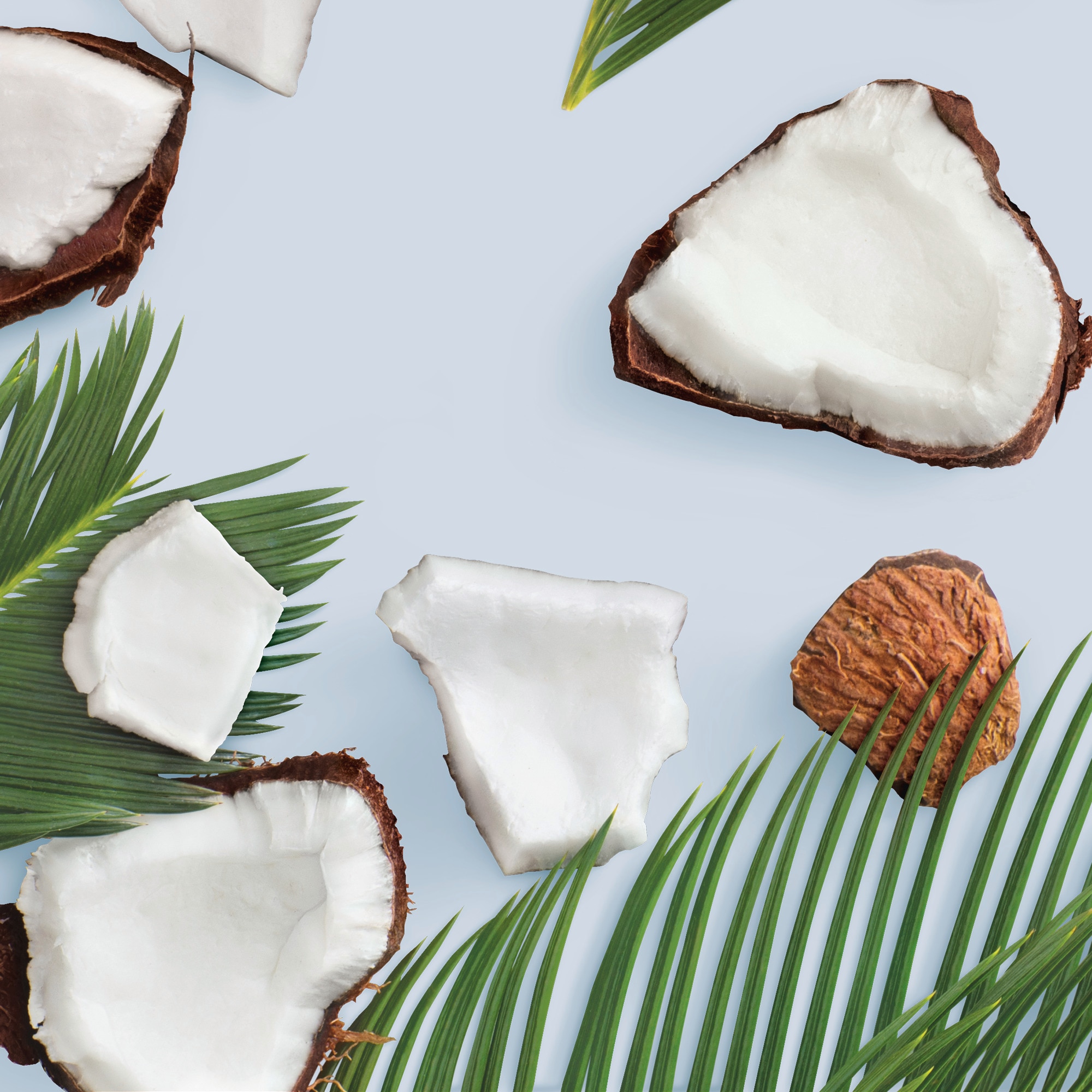 Coconut pieces and leaves