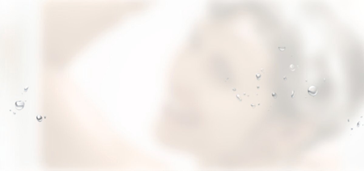 DoveInsider 404